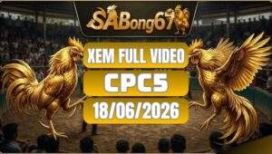 Phát Lại Đá Gà CPC5 Ngày 18/06/2026 Tại SABONG67